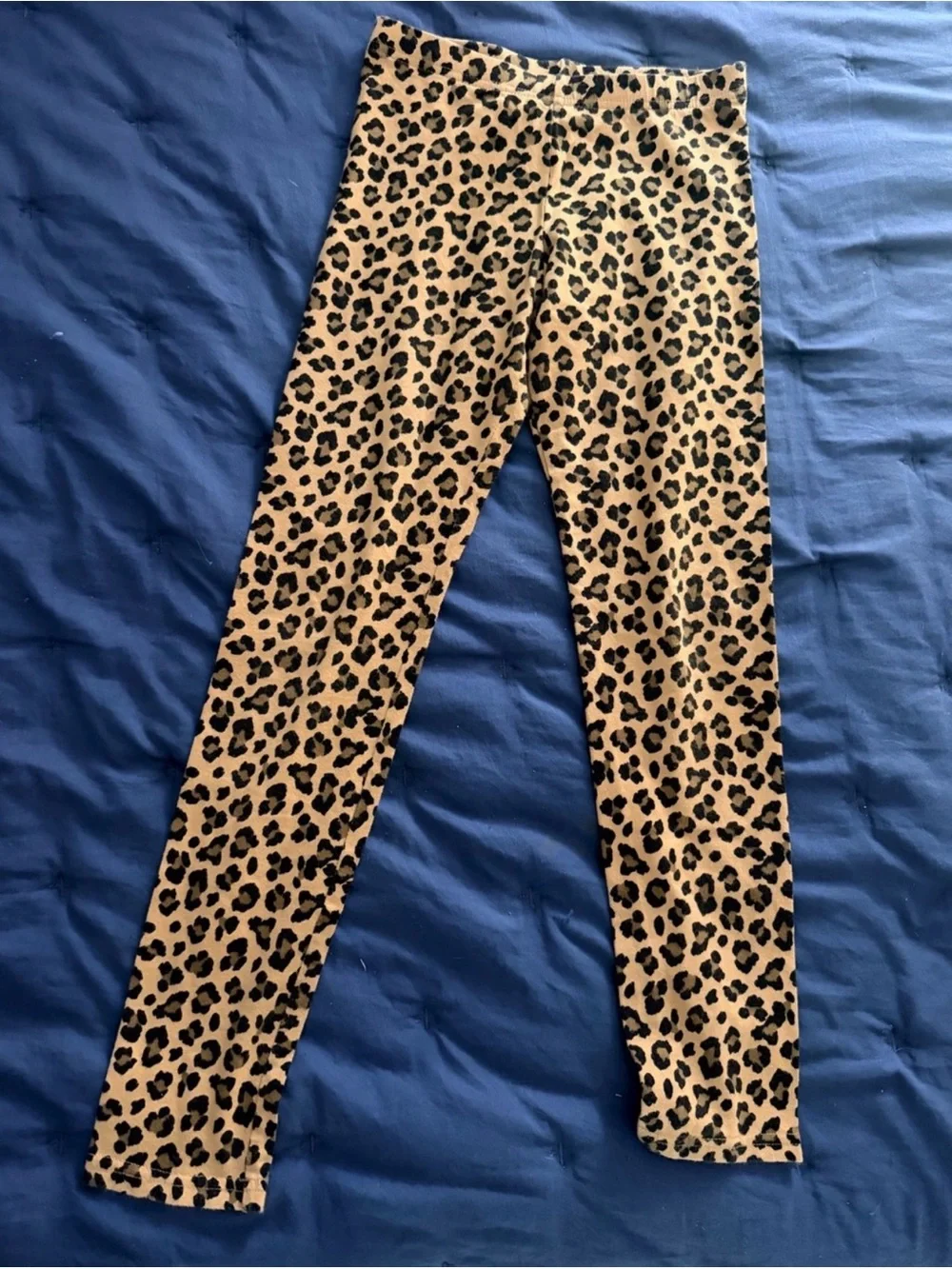 Size 10/12 (Girls) Clothing Mix Bundle